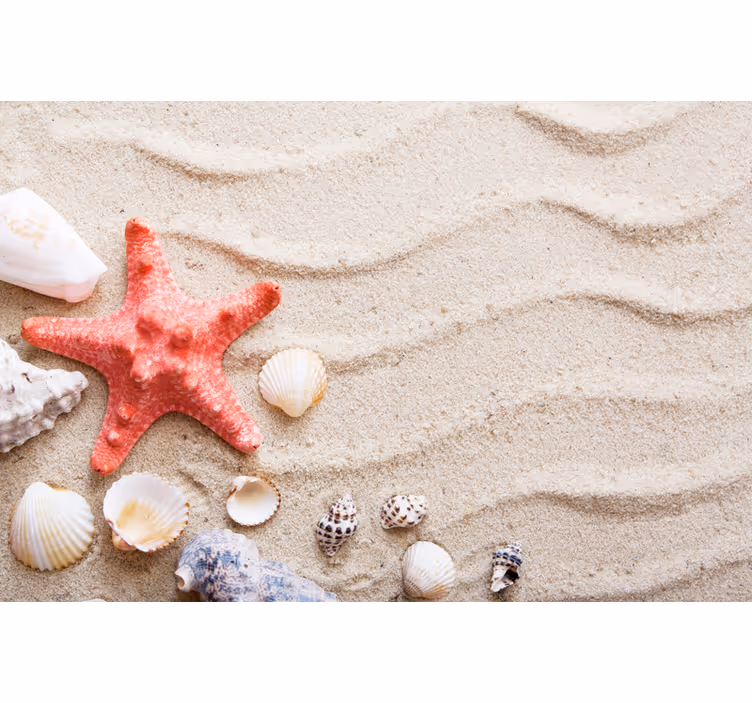Bathroom mural starfish and shells on sand - TenStickers