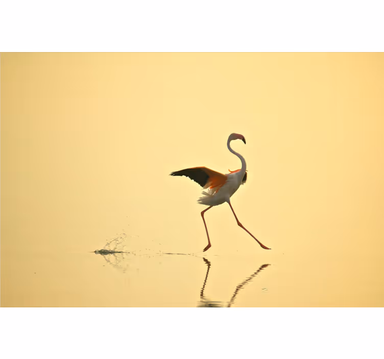 Yellow wall mural with amusing running flamingos - TenStickers