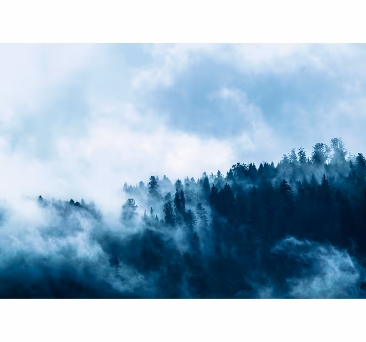 Winter misty forest wall mural - TenStickers