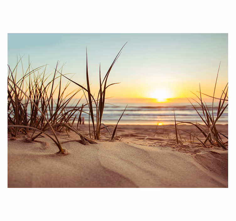 Sunset and beach sea wall mural - TenStickers