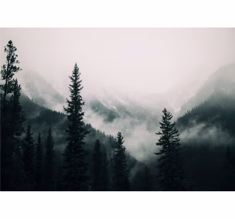 Trees between mountains wall mural - TenStickers