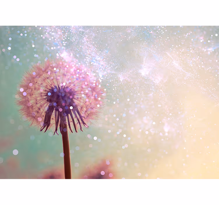 Dandelion with sparkle dandelion wall mural - TenStickers