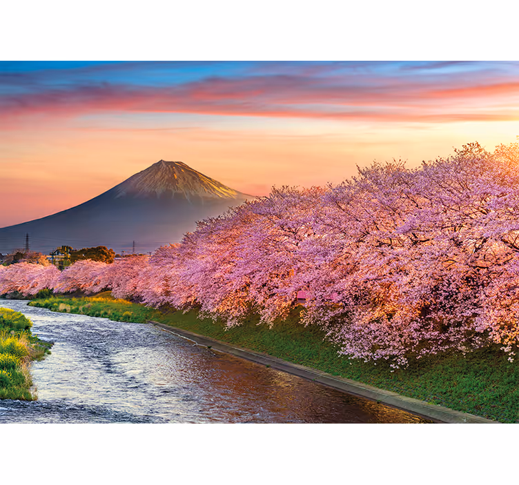 Mt. Fuji Cherry Blossoms landscape mural - TenStickers