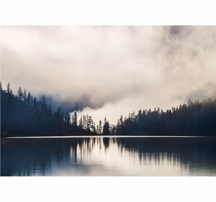 Misty Woodland Reflection landscape mural - TenStickers