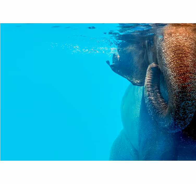 Majestic Underwater Elephant animal mural - TenStickers