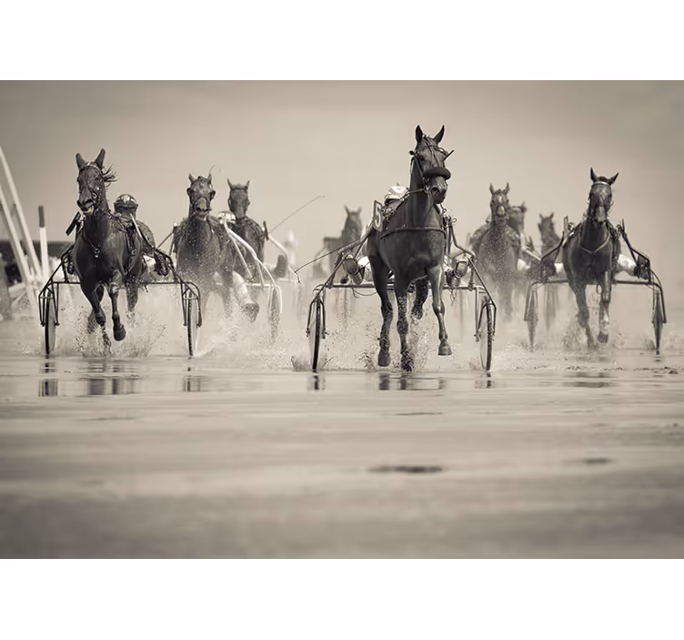 Horses Racing Together animal mural - TenStickers