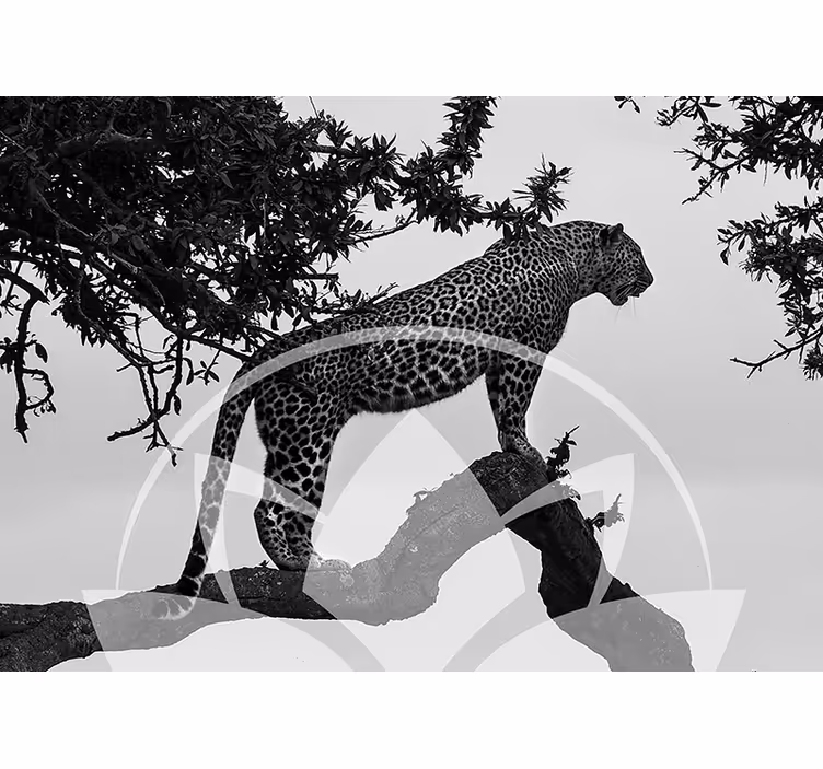 Leopard in Tree animal mural - TenStickers