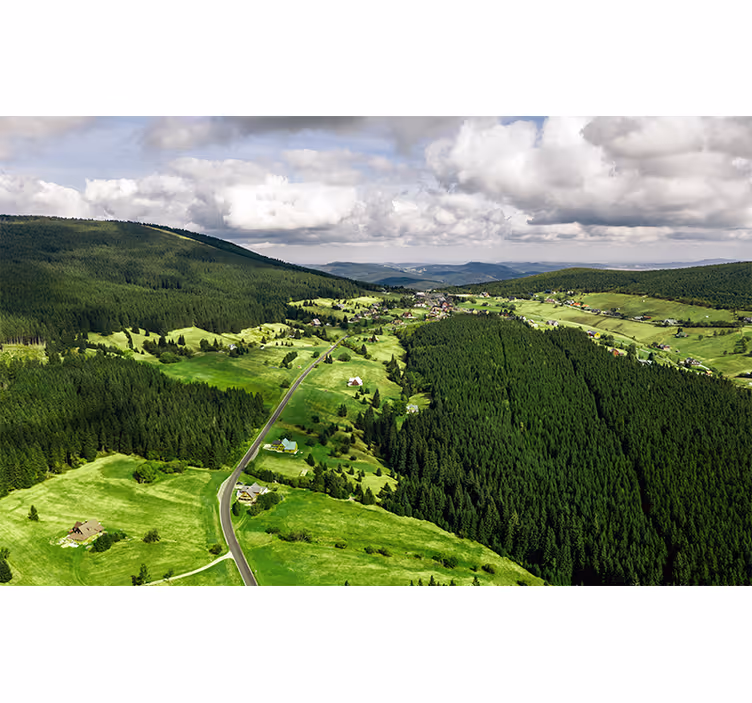 Lush Green Hills landscape mural - TenStickers