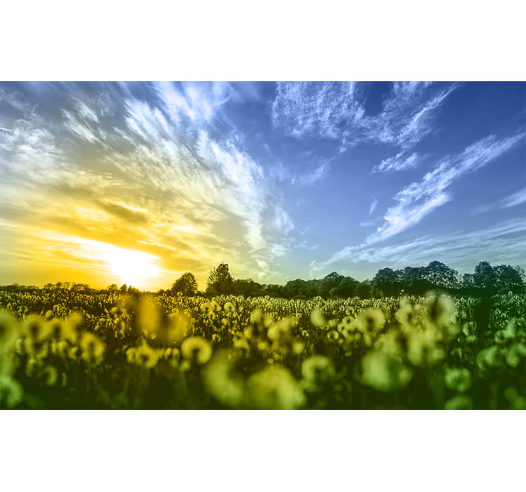 Twilight Blossom Meadow flower mural - TenStickers