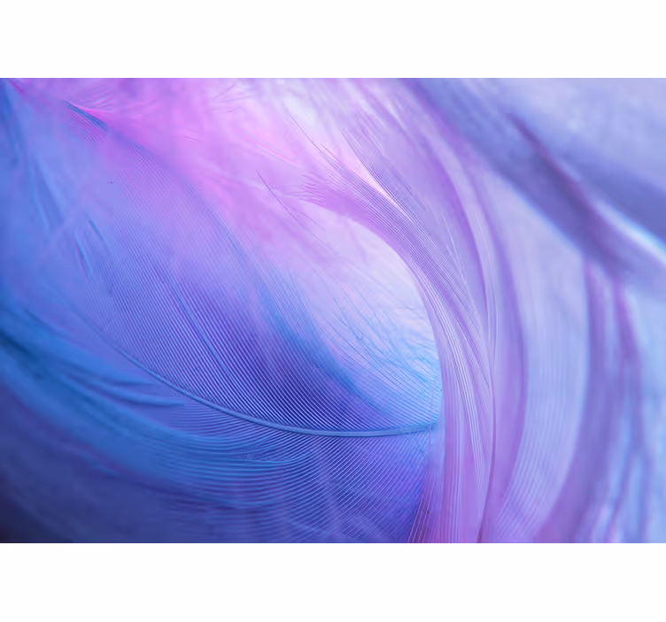 Soft colour waves abstract wall mural - TenStickers