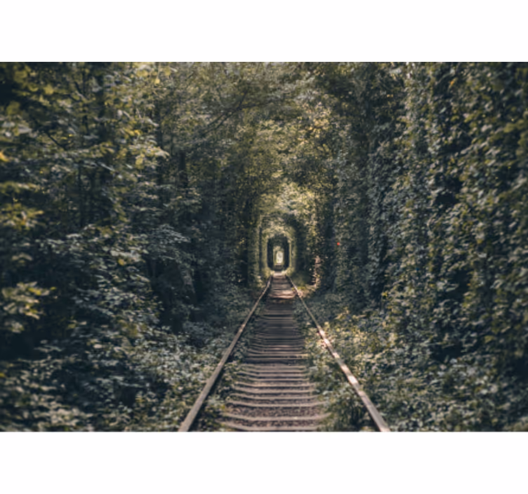 Forest Tunnel Path landscape mural - TenStickers