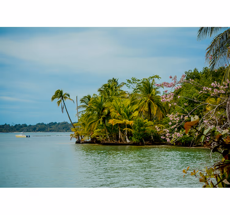 Tropical Island Oasis nature wall mural - TenStickers