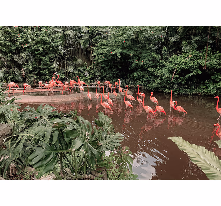 Flamingos by Water animal mural - TenStickers