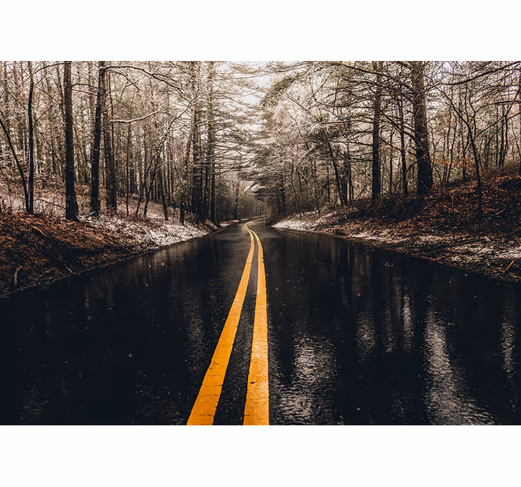 Curving Forest Road landscape mural - TenStickers