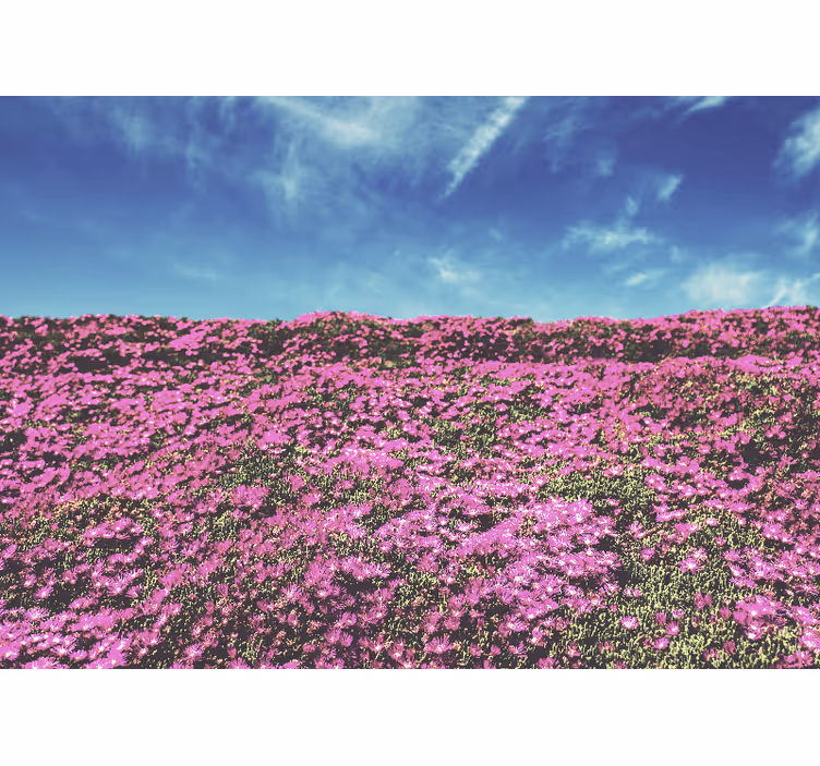 Vibrant Pink Blossoms flower mural - TenStickers