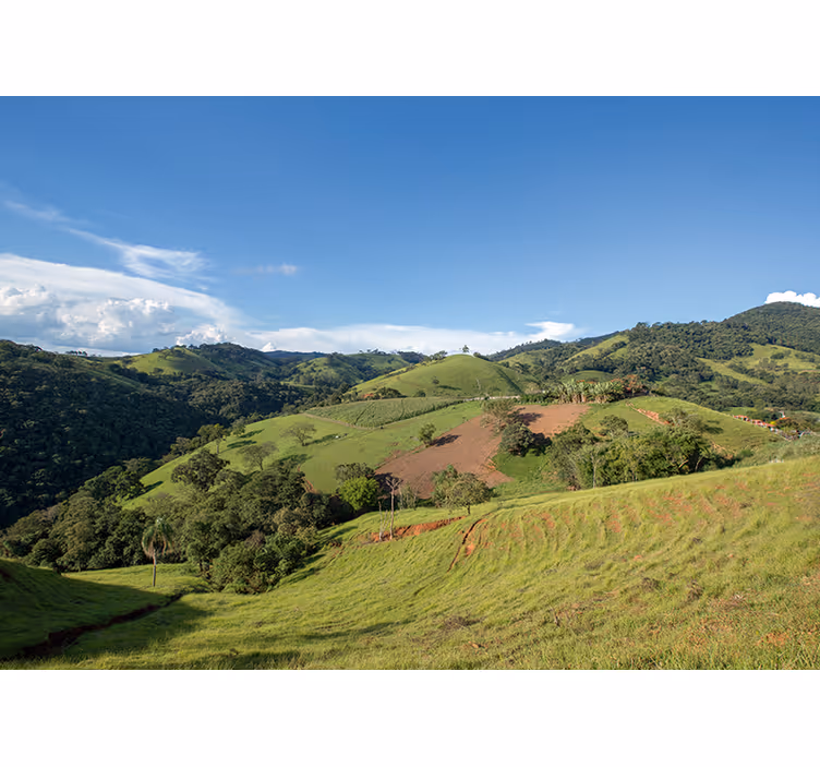 Verdant Rolling Hills landscape mural - TenStickers