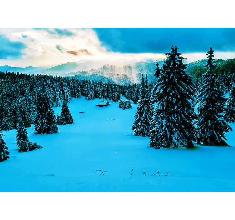 Snowy Pine Forest landscape mural - TenStickers