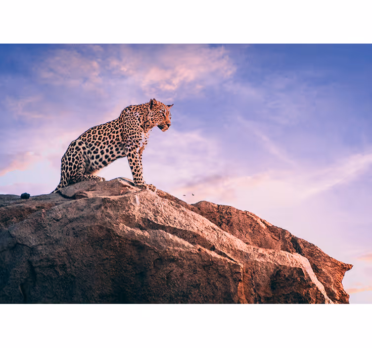 Leopard on Rock animal mural - TenStickers