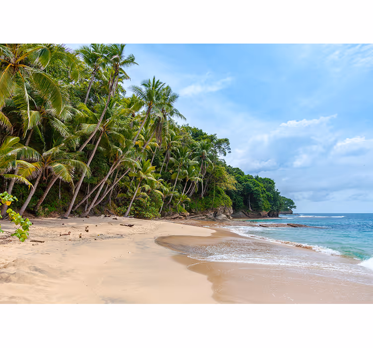 Nature wall mural tropical shore oasis - TenStickers