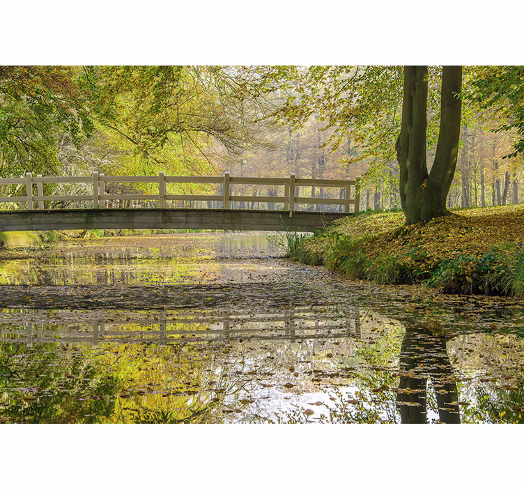 Wooden path forest with lake nature wall mural - TenStickers