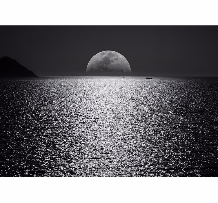 Moonlit view under the sea mural - TenStickers