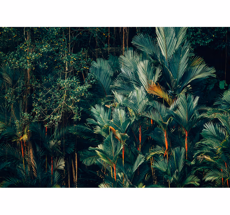Forest and green tree mural - TenStickers