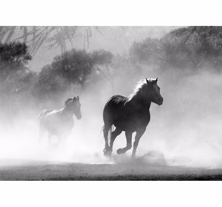 Two Running Horses animal mural - TenStickers