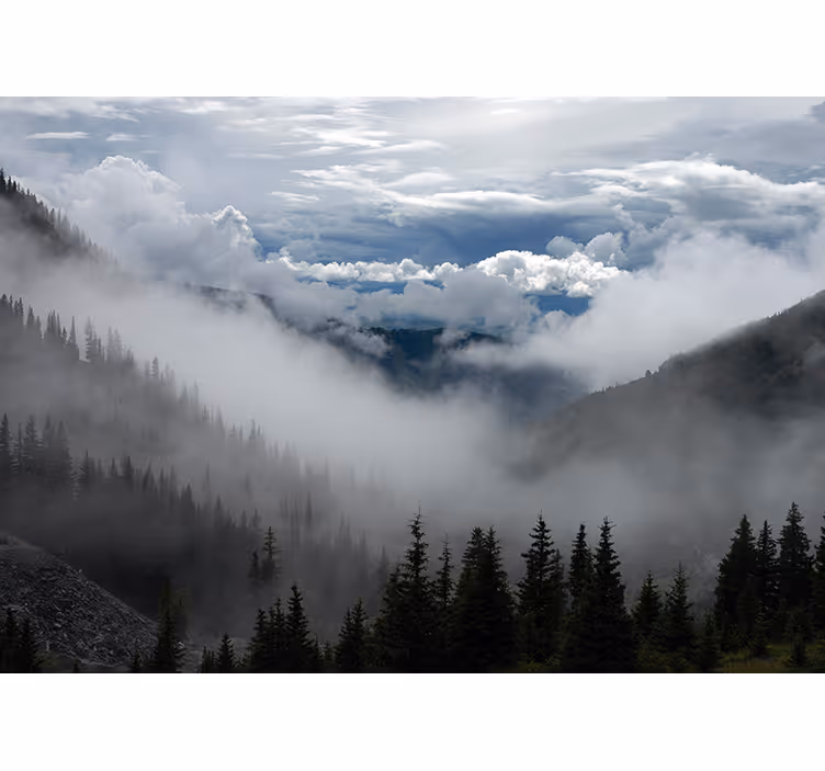 Foggy Woodland Scenery landscape mural - TenStickers