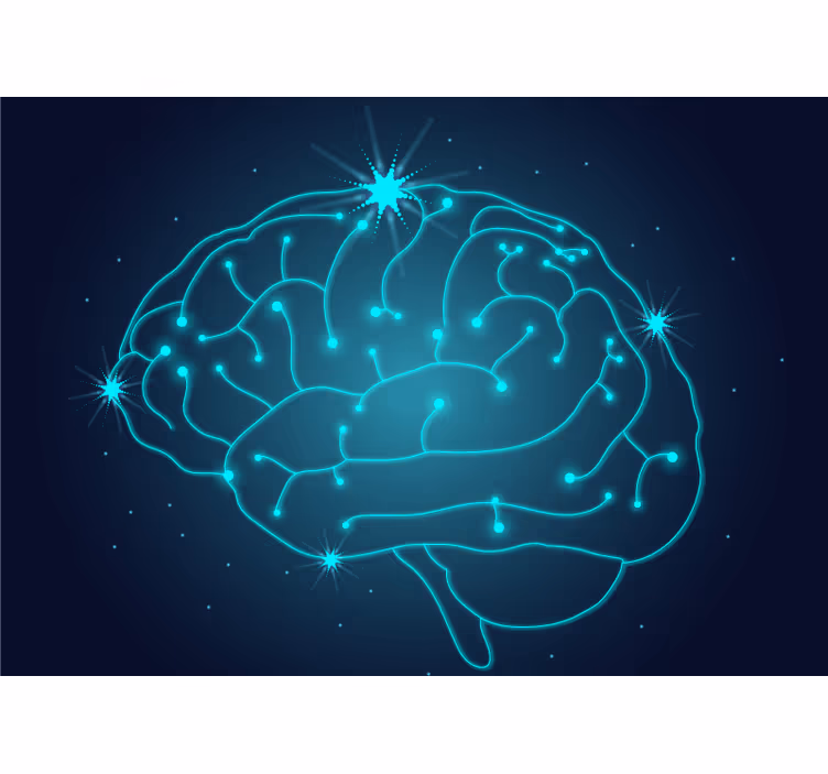 Neurons in Brain modern wall mural - TenStickers