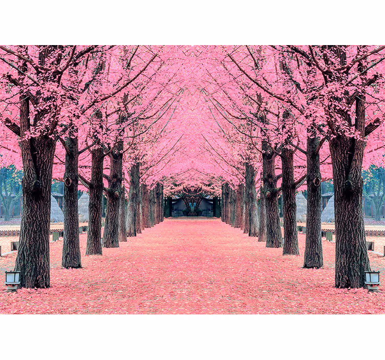 Cherry Blossom Path flower mural - TenStickers