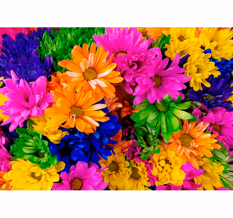 Flower mural colorful botanical design - TenStickers