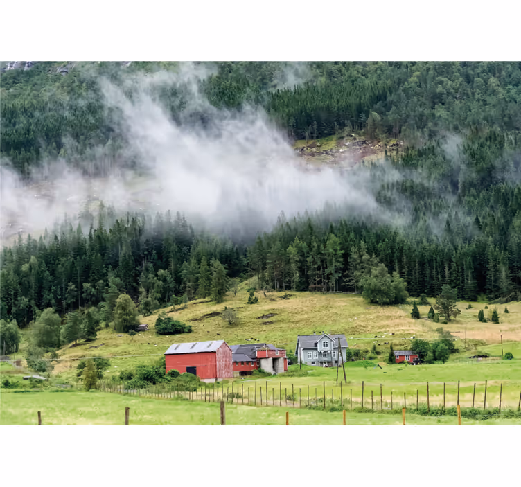 Norwegian forest nature wall mural - TenStickers