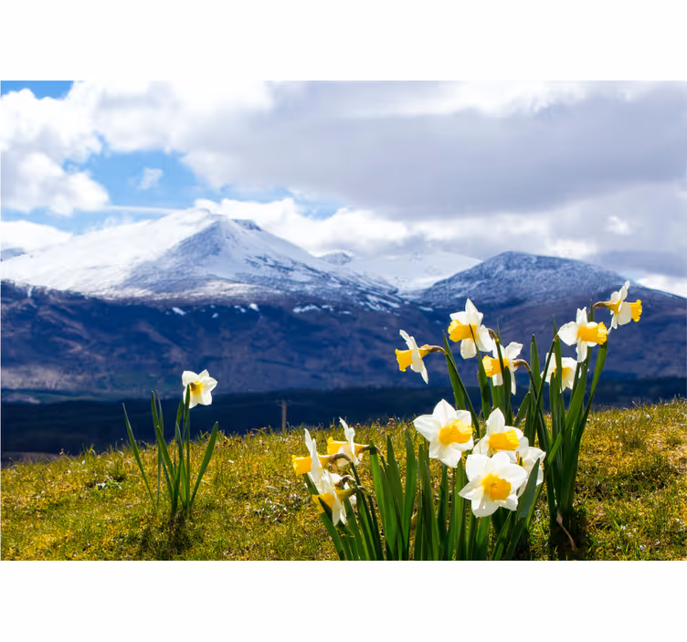 Flowers landscape meadow wall mural - TenStickers