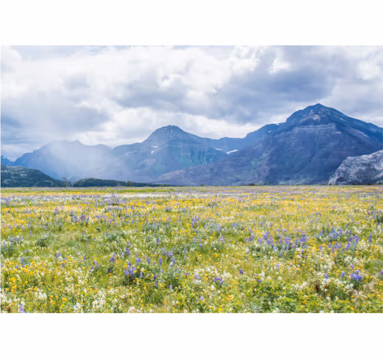 Landscape mural mountain flower field - TenStickers