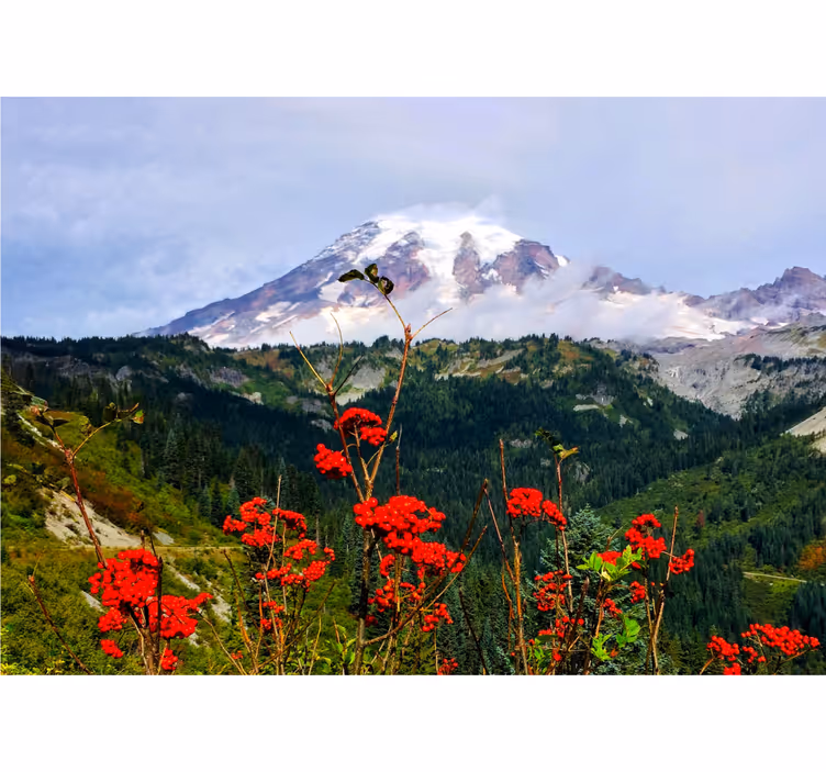 Landscape mural of snow-capped mountain - TenStickers