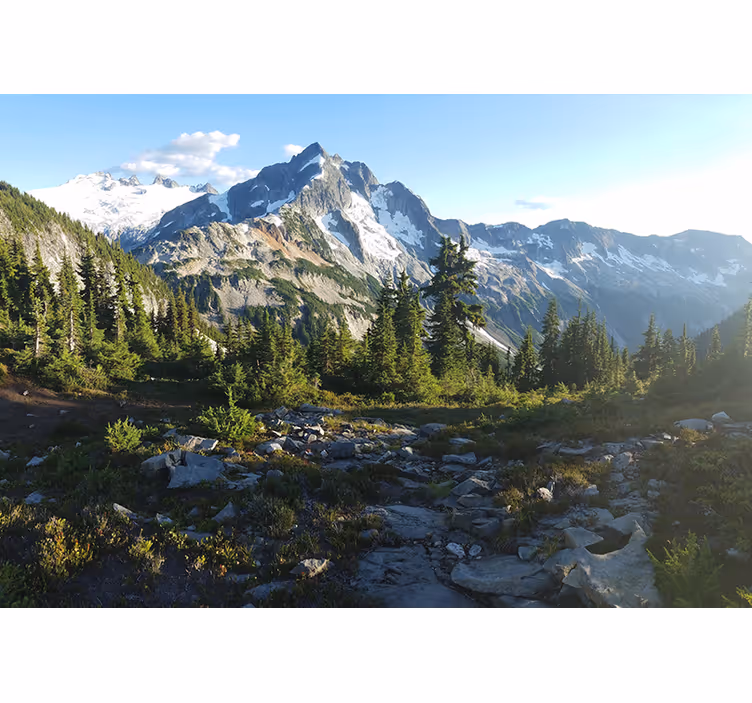 Landscape mural mountainous forest scene - TenStickers