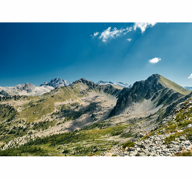 Landscape mural grand mountain range view - TenStickers