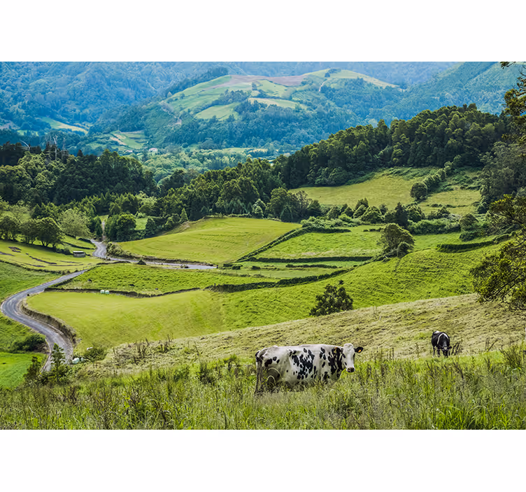 Landscape mural rolling green fields - TenStickers