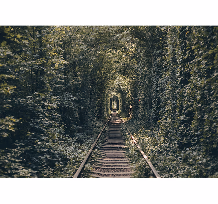 Railway tunnel of trees and bushes Wall Murals - TenStickers
