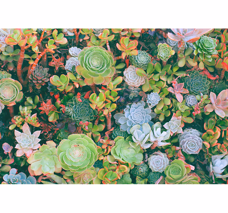 Flower mural succulent garden design - TenStickers