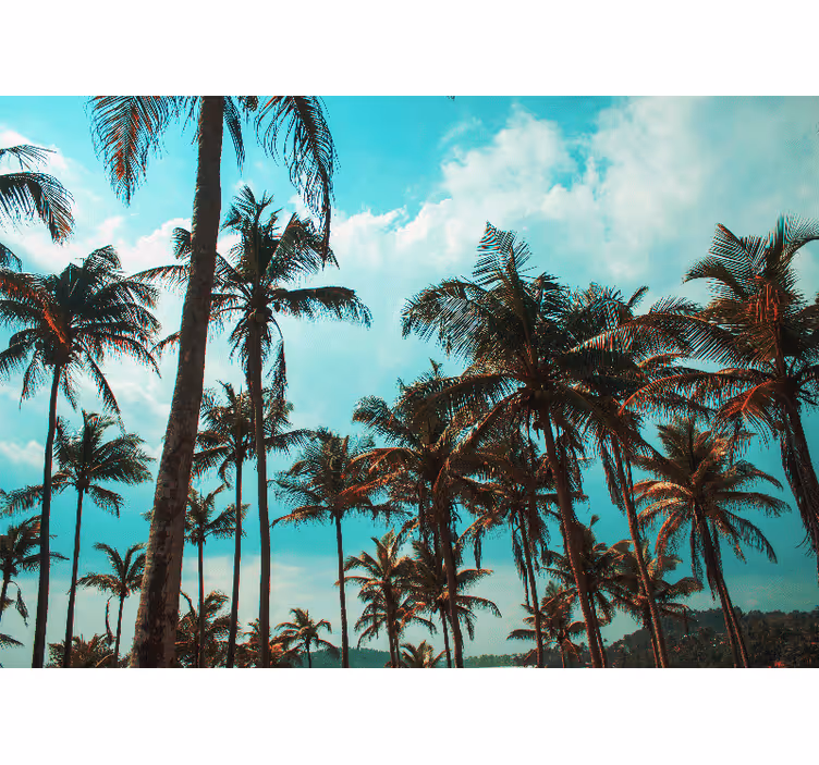 Nature wall mural tropical palm trees paradise - TenStickers