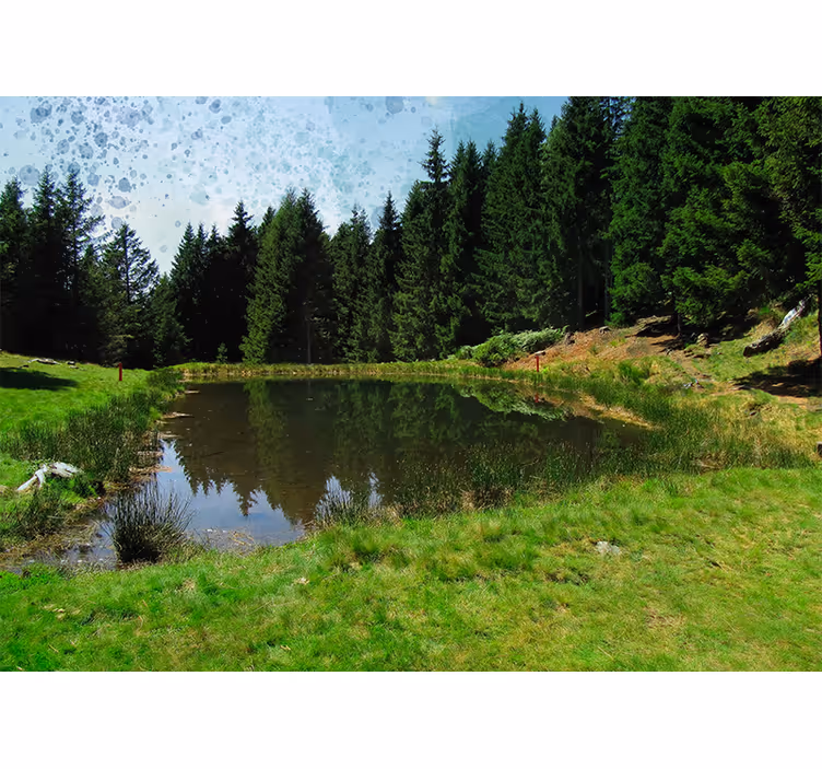 Landscape mural tranquil forest scene - TenStickers