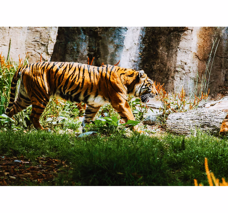 Animal mural majestic tiger walking - TenStickers