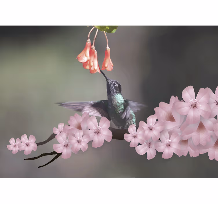 Animal mural hummingbird and blooms - TenStickers
