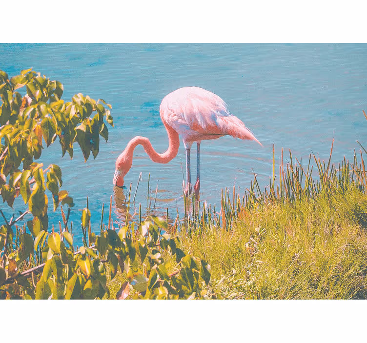 Pink Flamingo Serenity animal mural - TenStickers