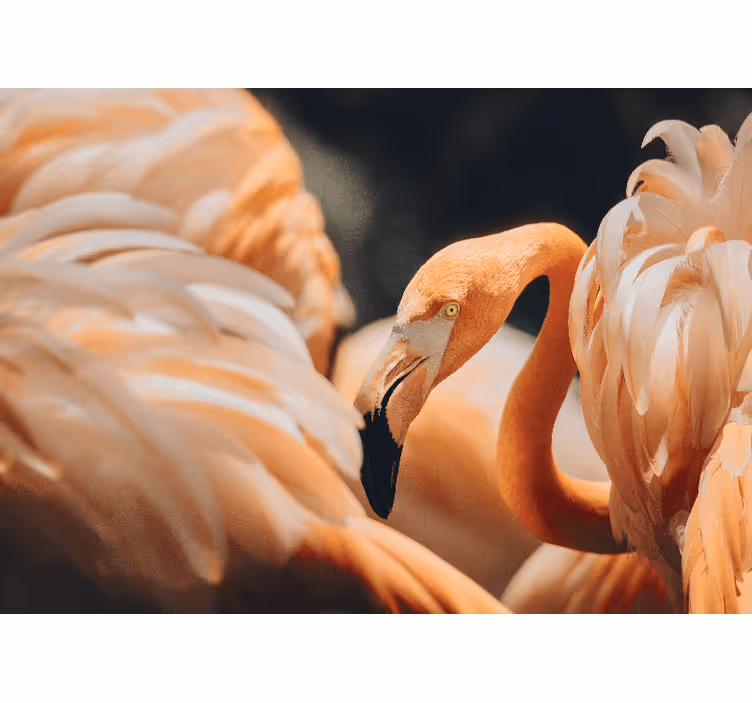Elegant flamingo scene wall mural - TenStickers