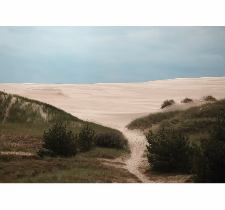 Landscape mural sandy dune path - TenStickers