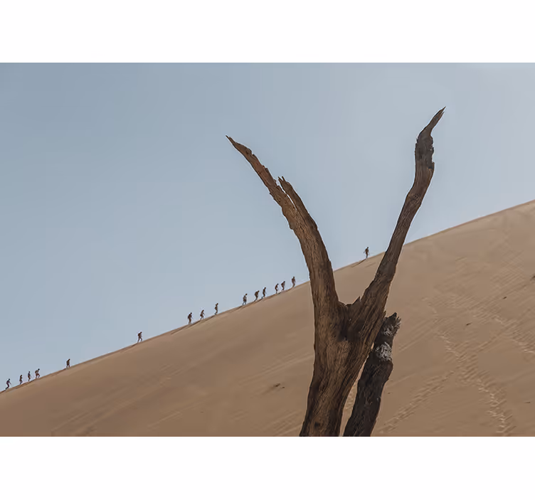 Dune Hikers Silhouette desert wall mural - TenStickers