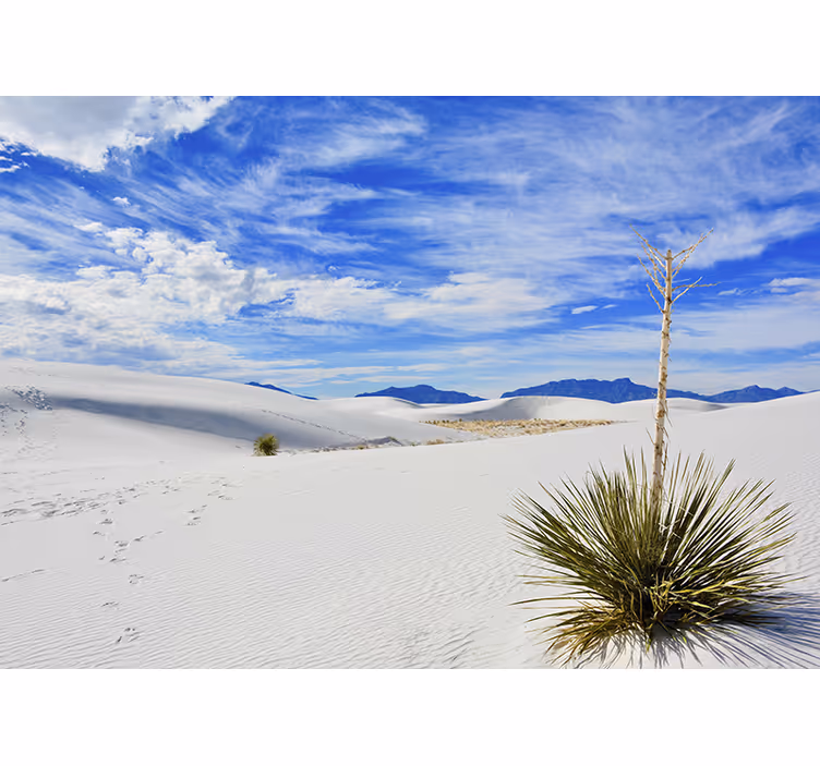 Landscape mural desert landscape view - TenStickers