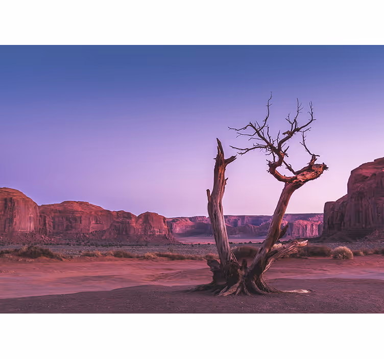 Landscape mural desert stone formation - TenStickers